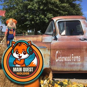 Cedarwood Pumpkin Patch Main Quest - Quest Holder (ages 8-16) - $99