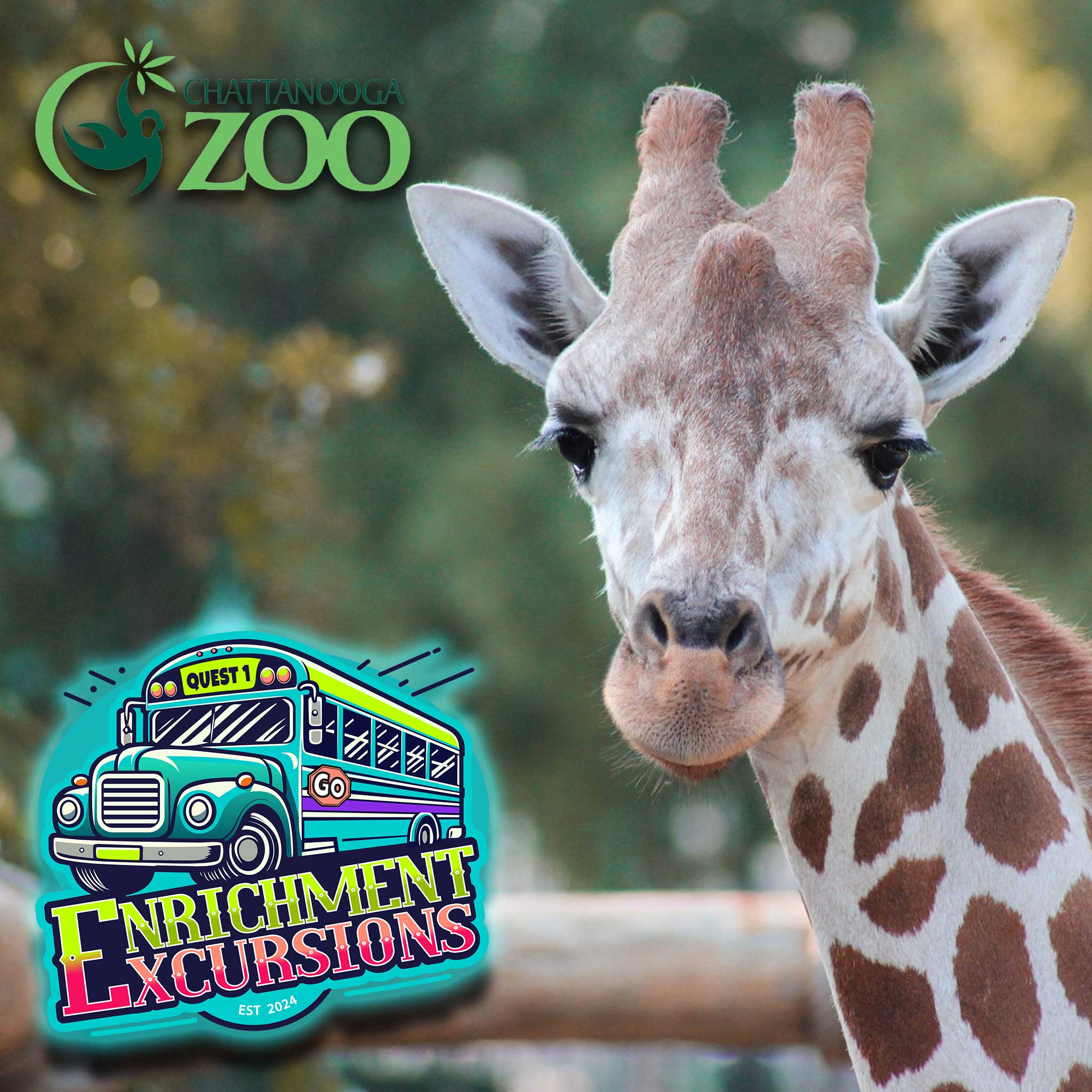 Chattanooga Zoo Main Quest