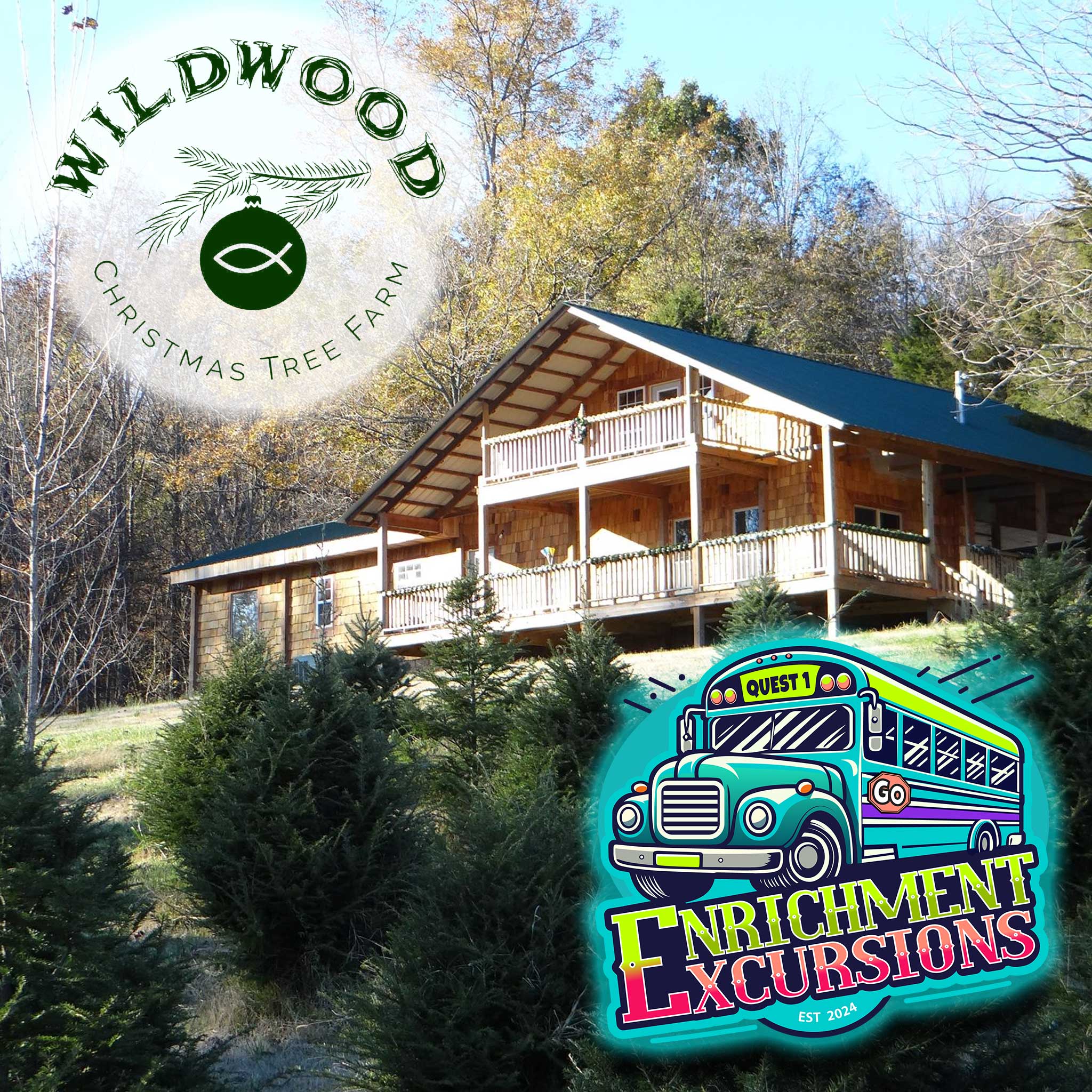 Wildwood Christmas Tree Farm Main Quest