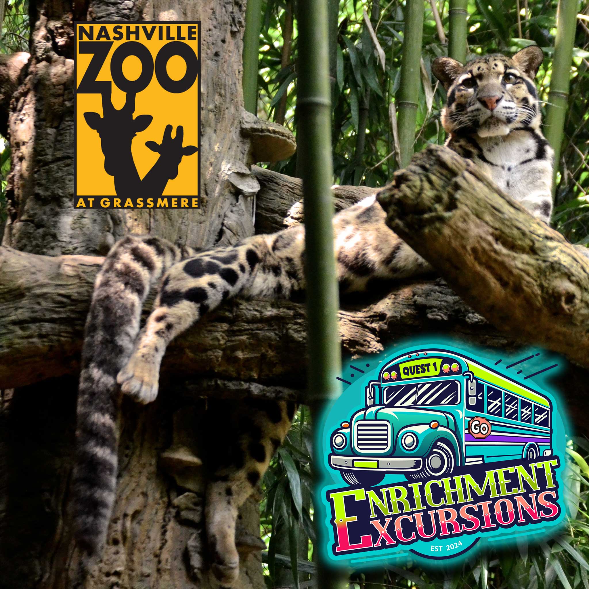 Nashville Zoo Main Quest